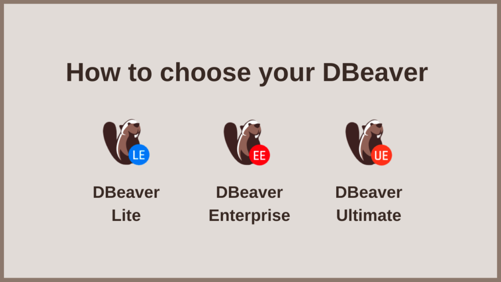 How to choose DBeaver