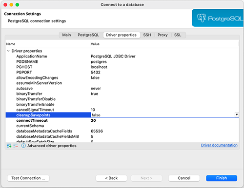 Driver properties DBeaver