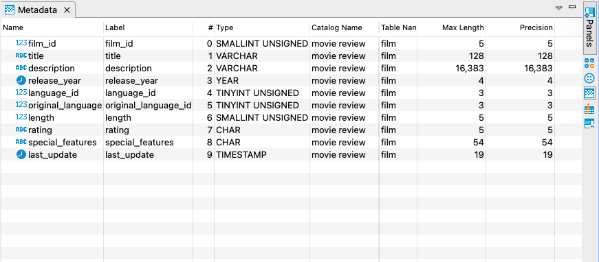 DBeaver Metadata Panel