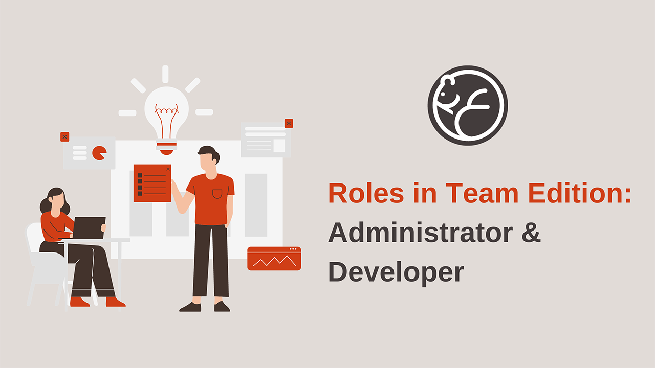 Roles in Team Edition: Administrator & Developer