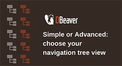 Simple or Advanced: choose your navigation tree view in DBeaver
