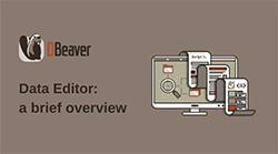 DBeaver Data Editor: a brief overview