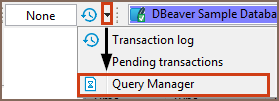 dbeaver query log